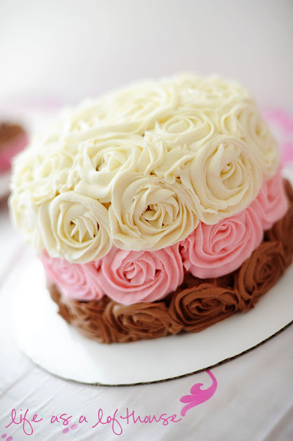 Neapolitan Cake