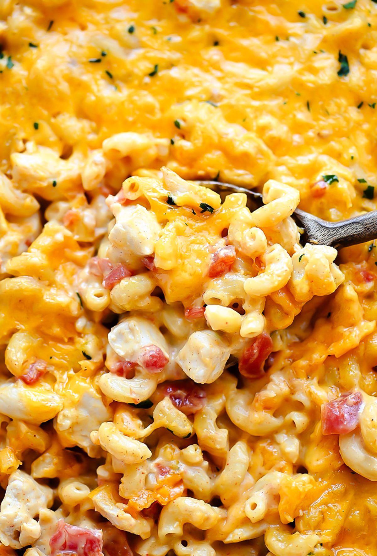 This Mac and Cheese is loaded with chicken, tomatoes, green chilies and more!
