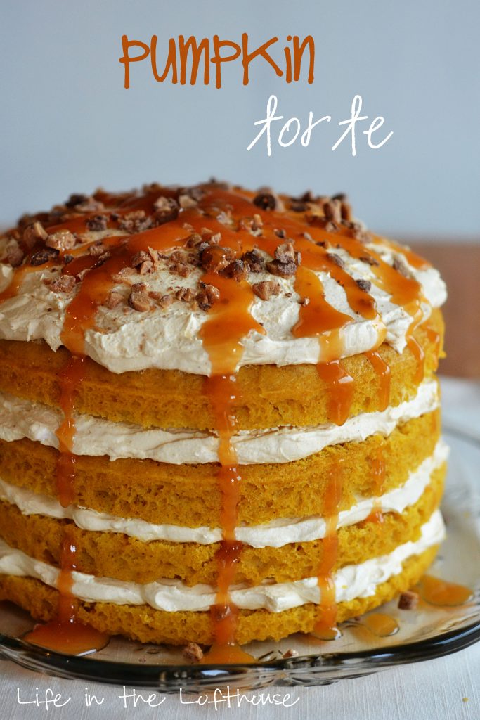 pumpkin-torte1