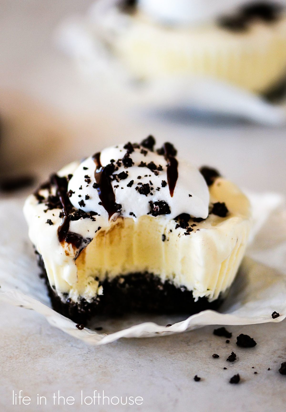 Delicious frozen cupcakes made from an Oreo cookie crust and vanilla ice cream. Life-in-the-Lofthouse.com