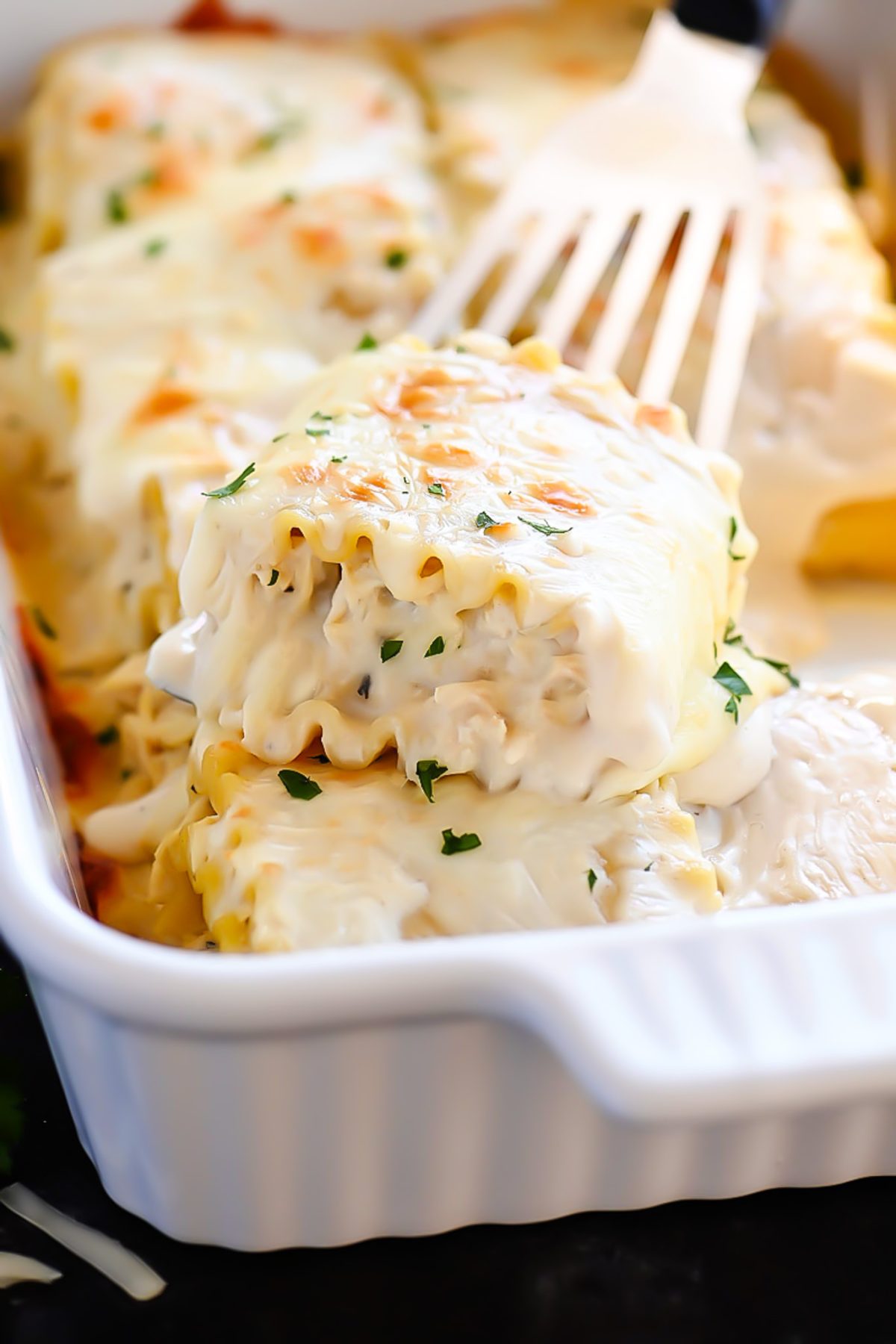 Chicken Alfredo Roll Ups are lasagna noodles rolled up with shredded chicken, Alfredo sauce and Mozzarella cheese. Life-in-the-Lofthouse.com