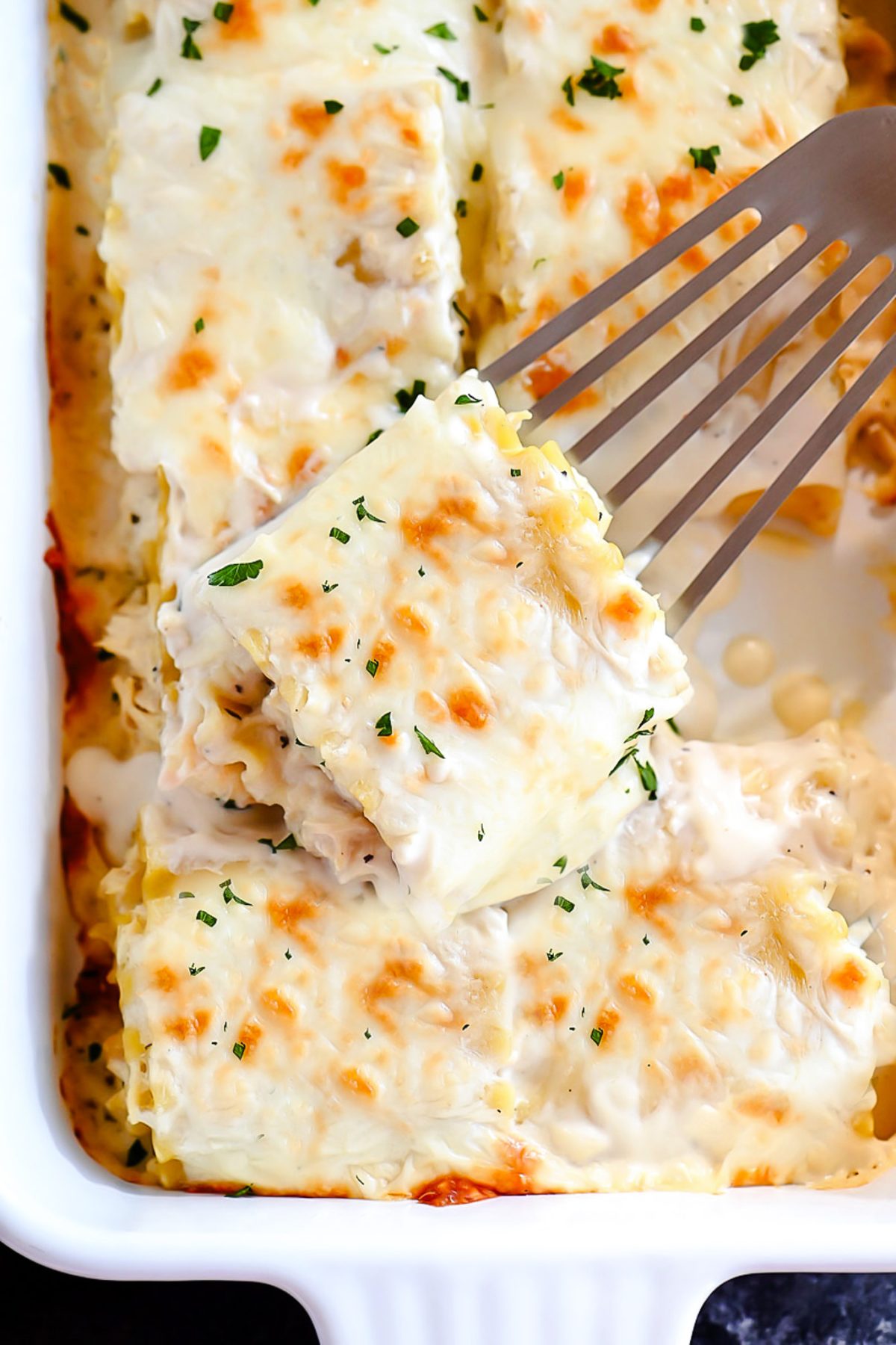 Chicken Alfredo Roll Ups are lasagna noodles rolled up with shredded chicken, Alfredo sauce and Mozzarella cheese. Life-in-the-Lofthouse.com