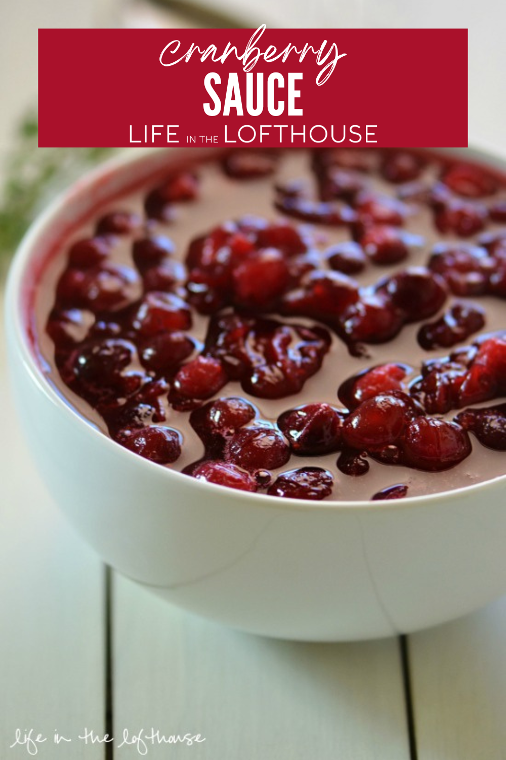 Homemade Cranberry Sauce in a bowl