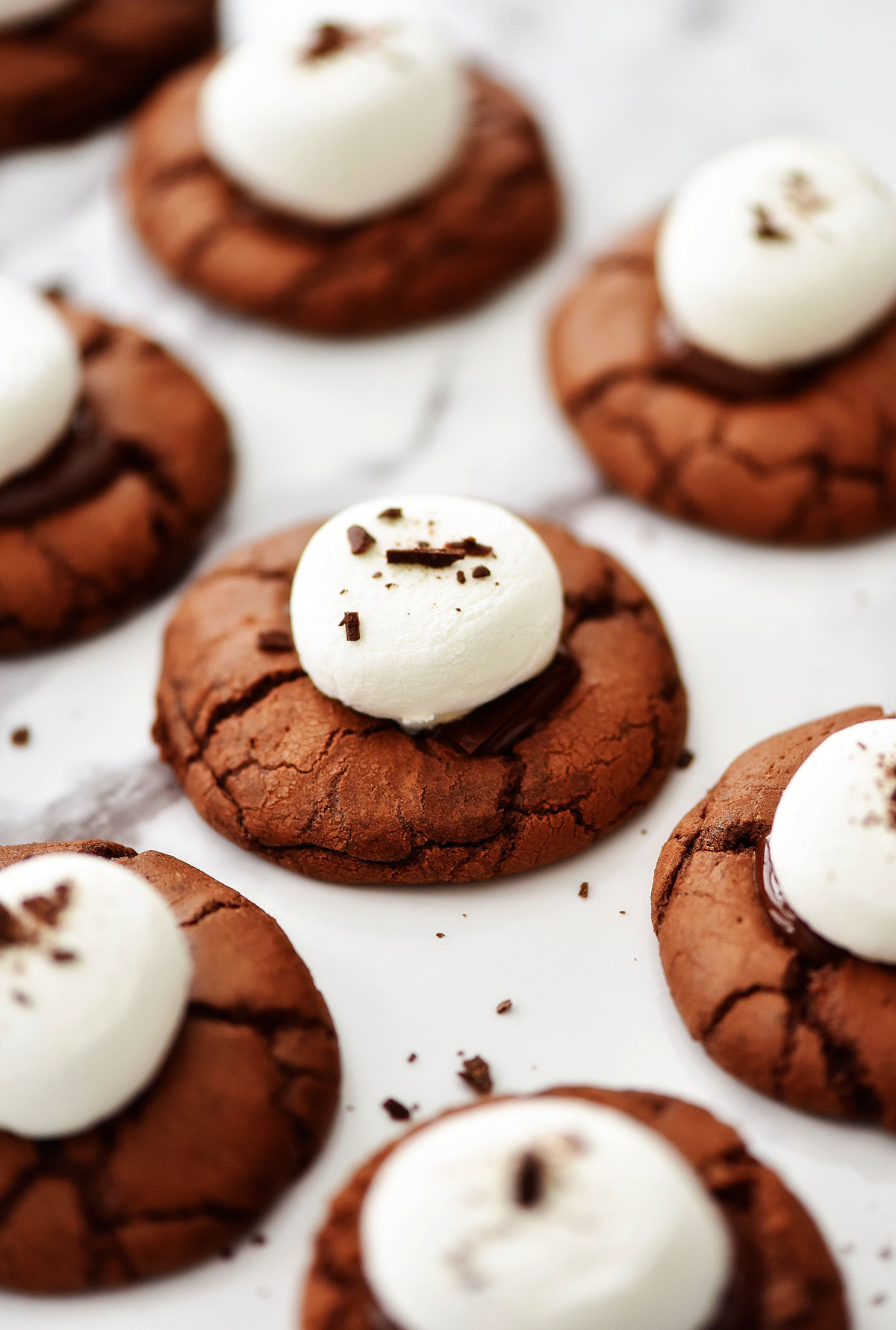 Hot Chocolate Cookies