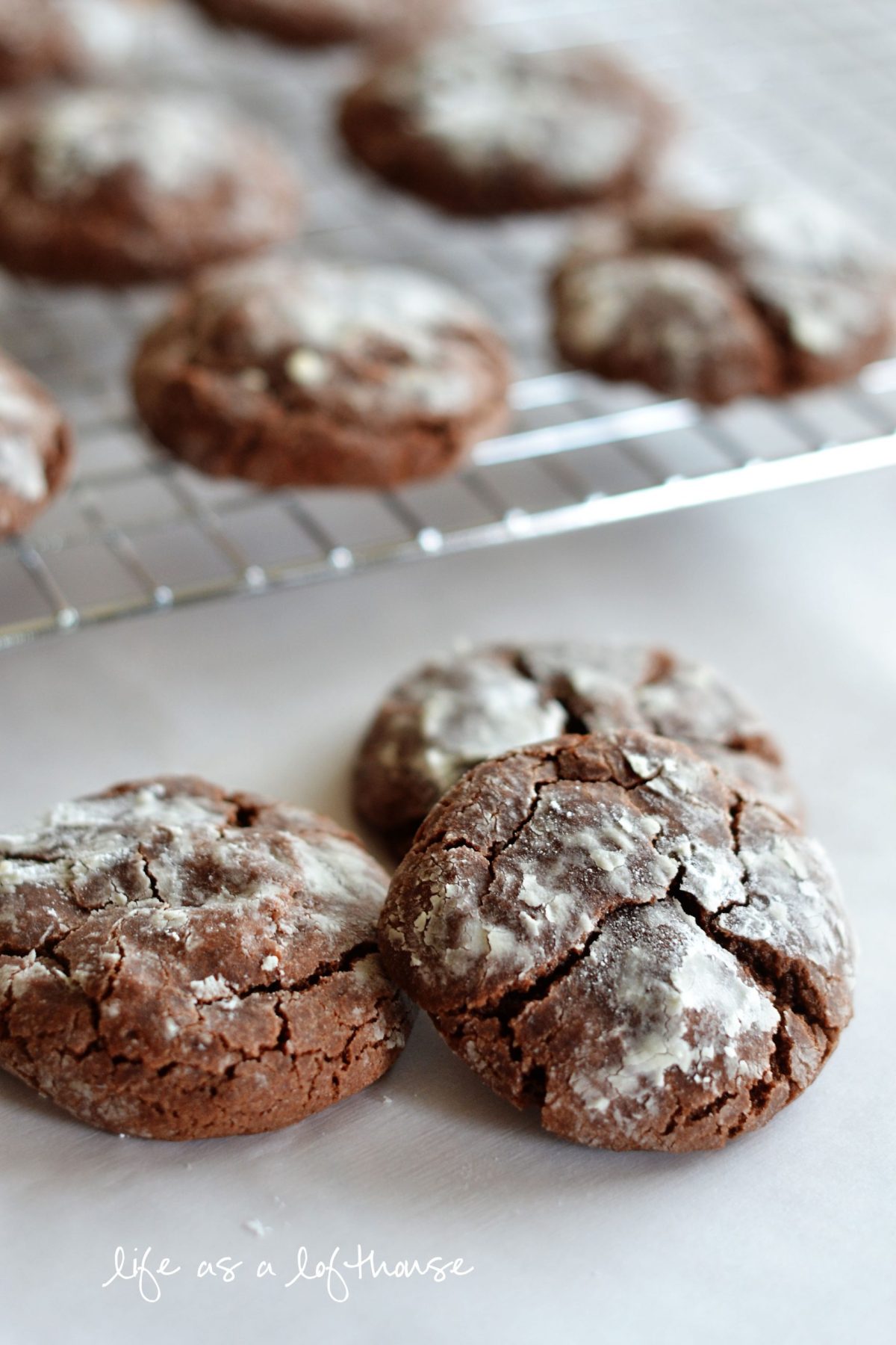 Chocolate Crinkle Cookies on a cooling rack