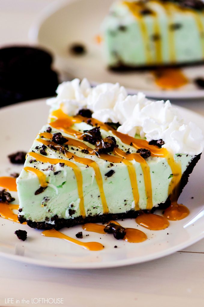 Frozen Chocolate Mint Pie