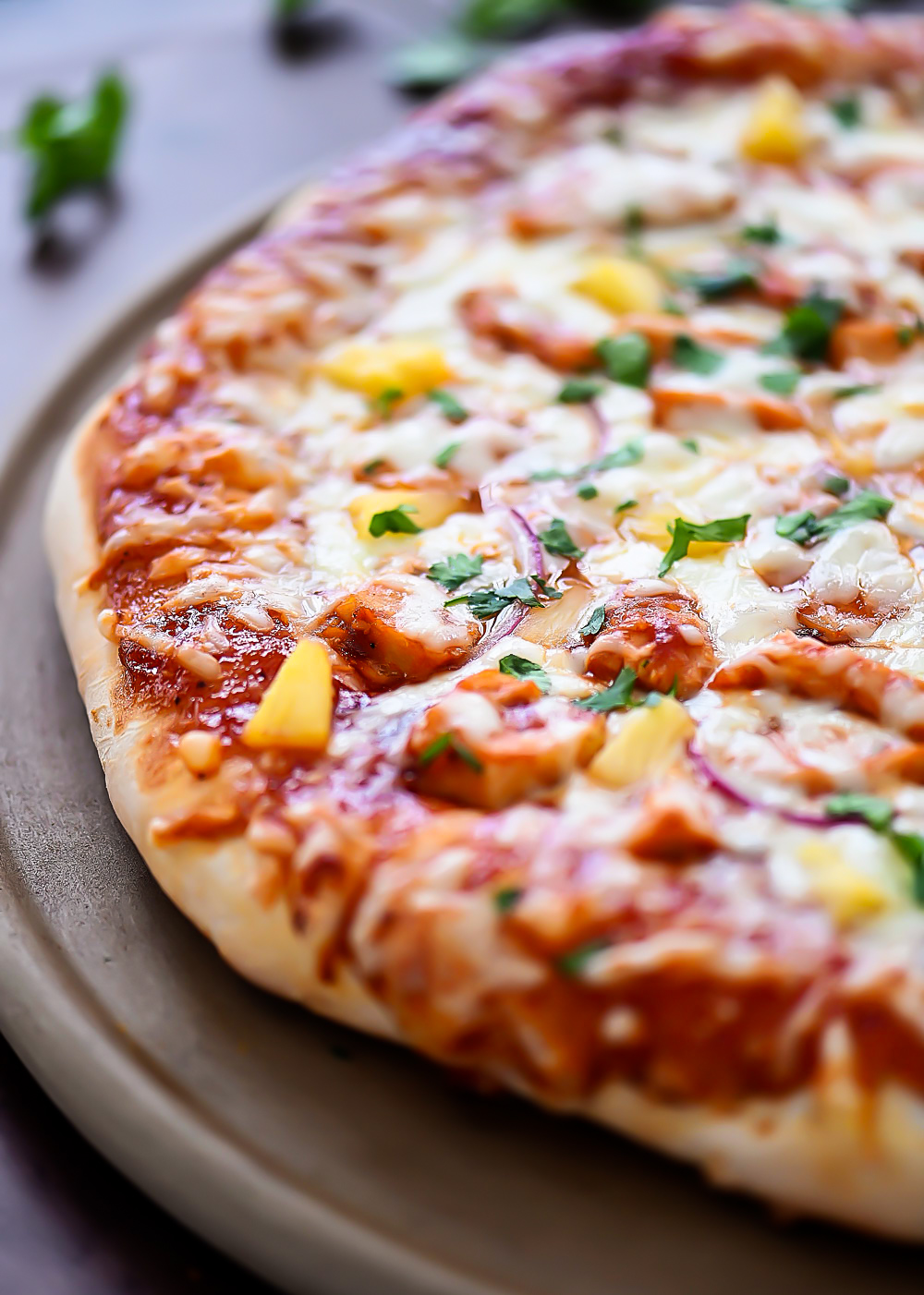 A delicious homemade pizza dough. Life-in-the-Lofthouse.com