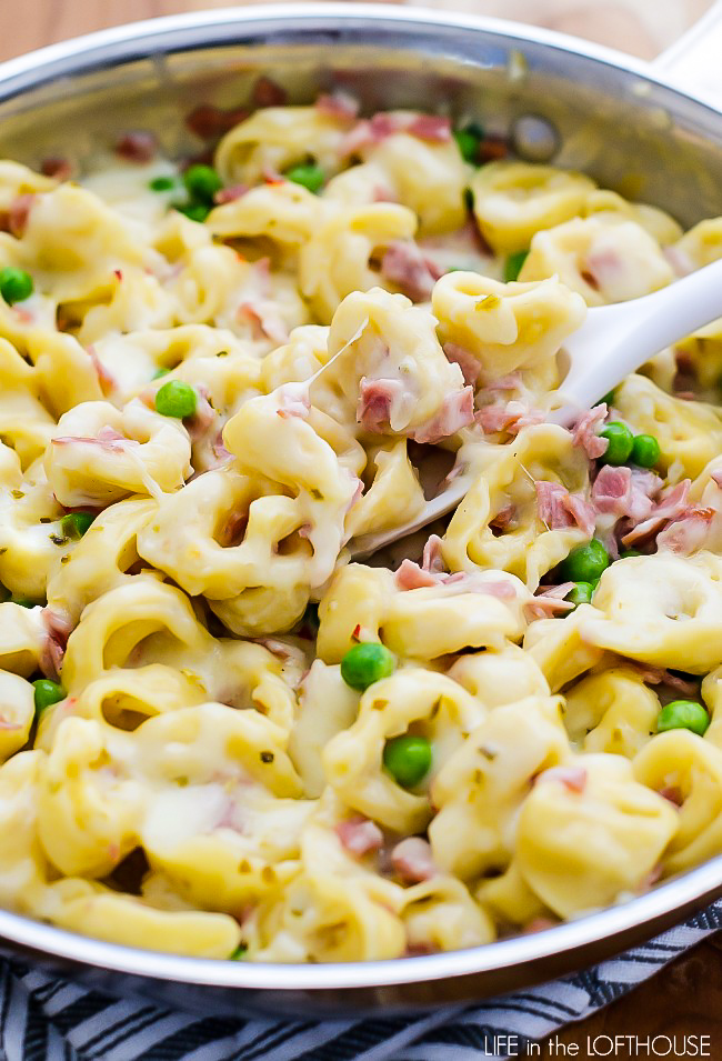 Ham, peas and a creamy sauce over cheese-filled tortellini. Life-in-the-Lofthouse.com