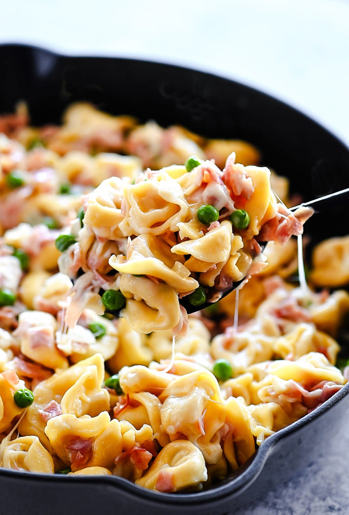 Ham, peas and a creamy sauce over cheese-filled tortellini. Life-in-the-Lofthouse.com