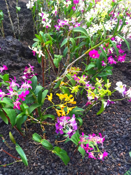 IMG_7906_flowersinlobby