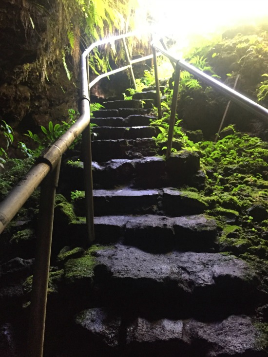 IMG_7948_lavatubestairs