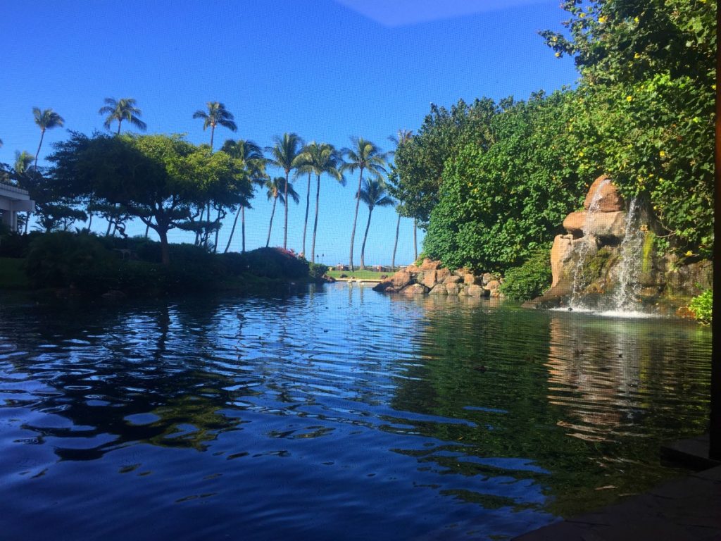 IMG_8031_breakfastview