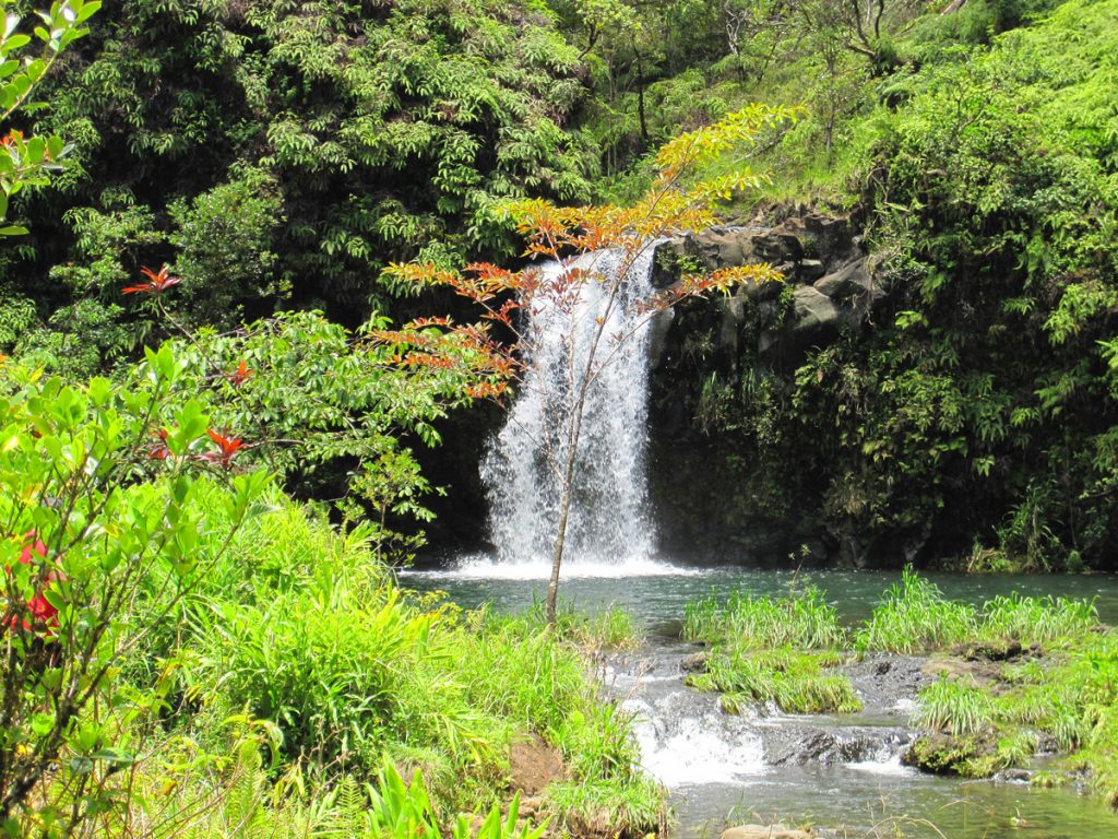 Road_to_Hana_Waterfall