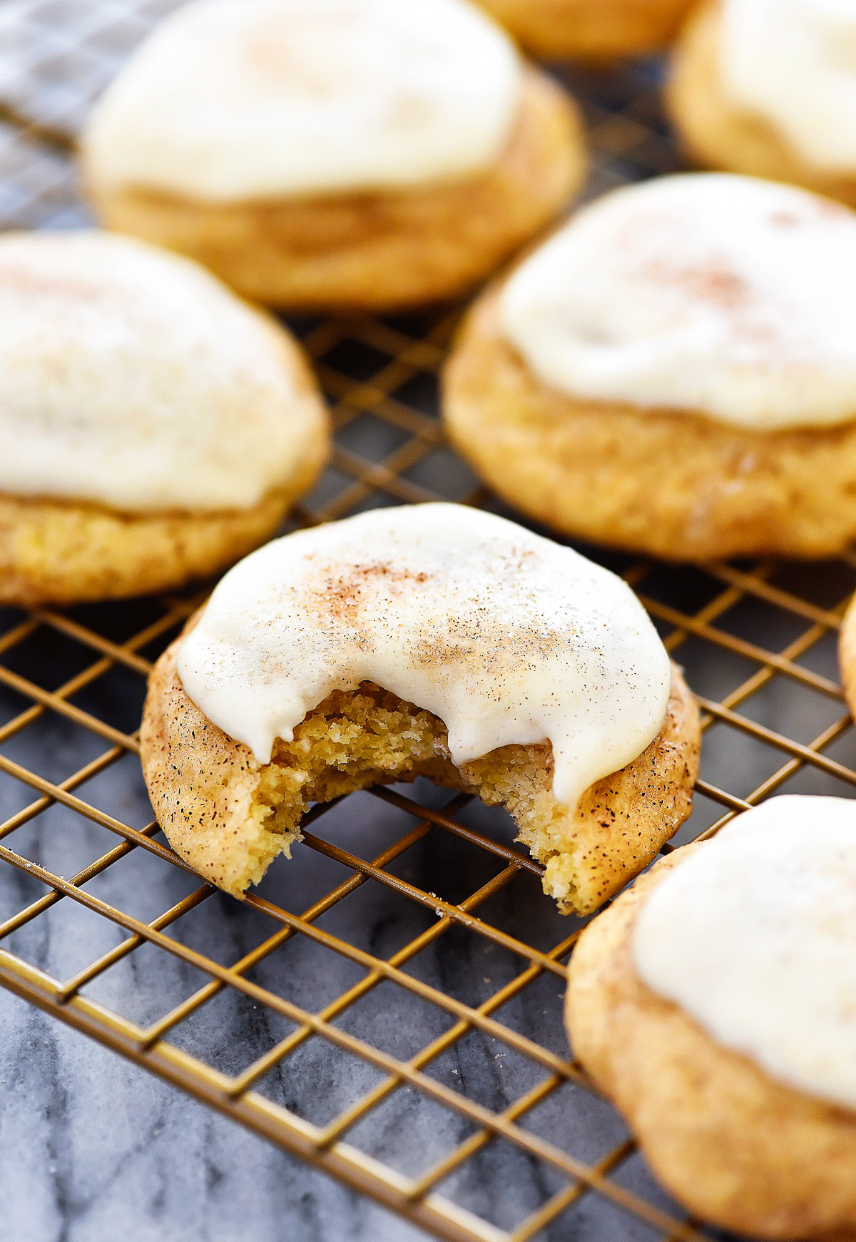 The Best Snickerdoodles