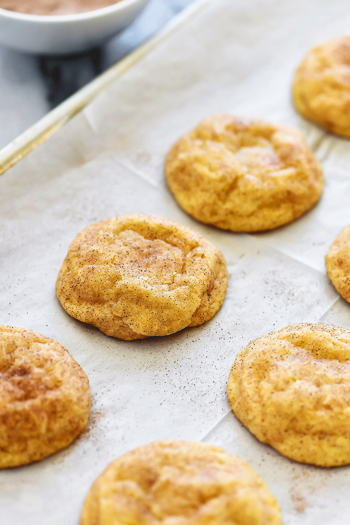 The Best Snickerdoodles