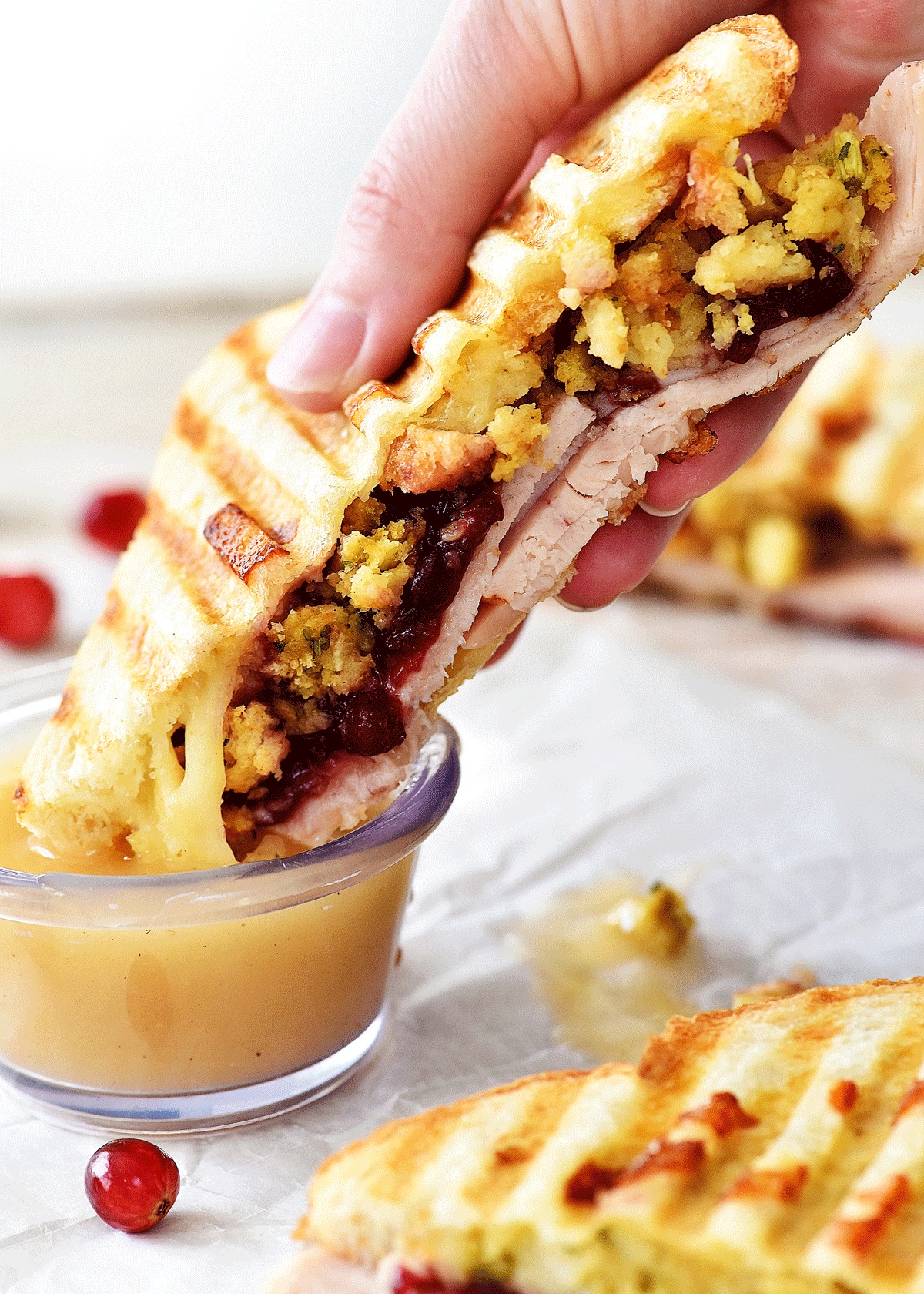 Thanksgiving Leftovers Panini