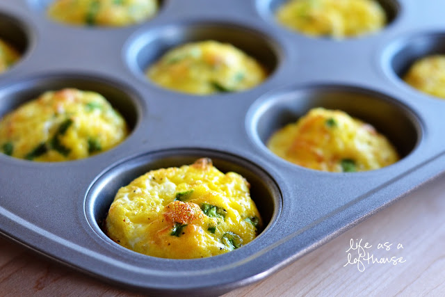 Egg Muffins