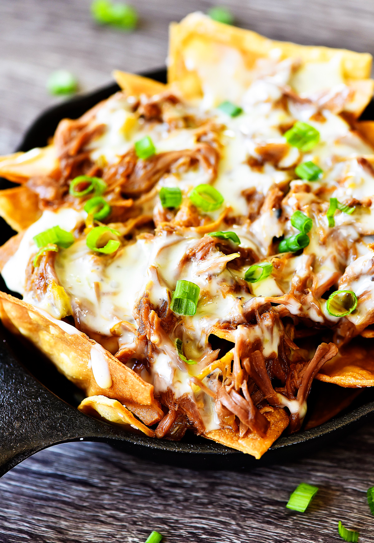 Shredded Sweet Pork over corn tortilla chips covered in Queso cheese. Life-in-the-Lofthouse.com
