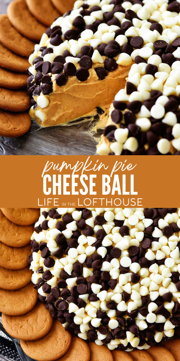 This Pumpkin Pie Cheese Ball is creamy and delicious, just like the traditional fall pie. It's perfect to serve at any holiday party!