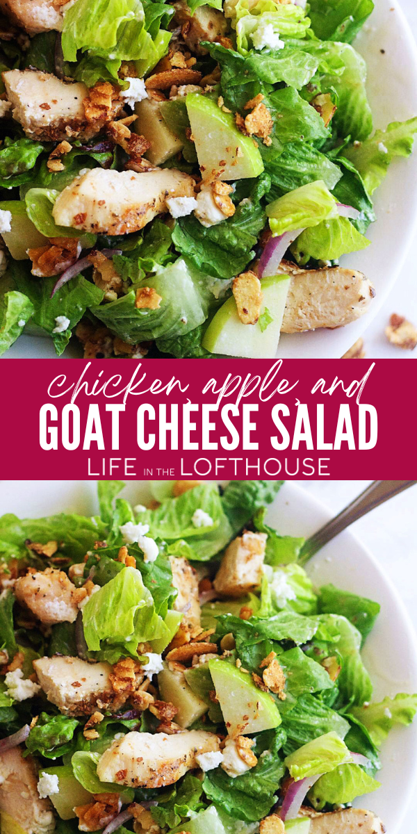 This Chicken, Apple & Goat Cheese is full of candied nuts, apples, goat cheese & chicken and tossed in a light champagne vinaigrette. It's seriously killer!