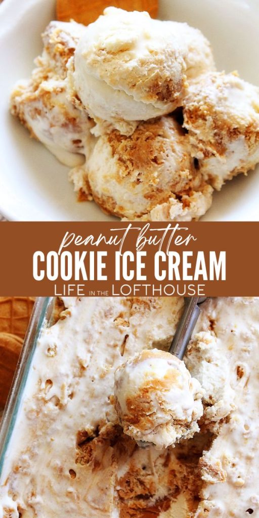 Peanut Butter Cookie Ice Cream
