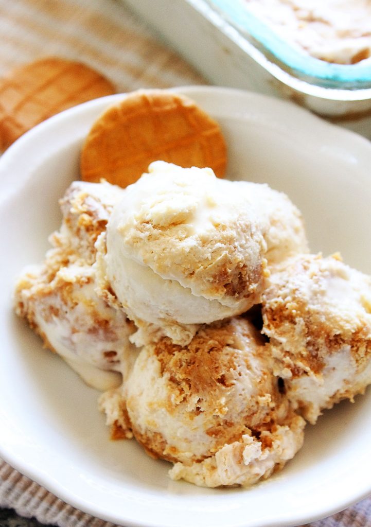 Peanut Butter Cookie Ice Cream is a no-churn, creamy Ice Cream that has layers of creamy peanut butter and cookie pieces. Life-in-the-Lofthouse.com