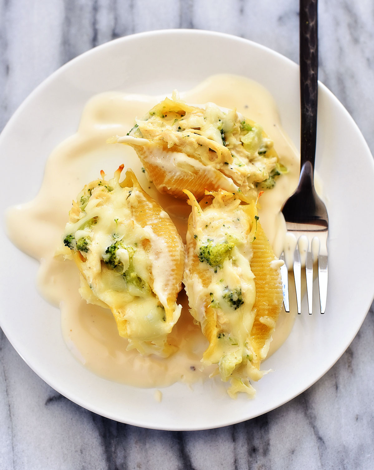 Chicken Broccoli Alfredo Shells