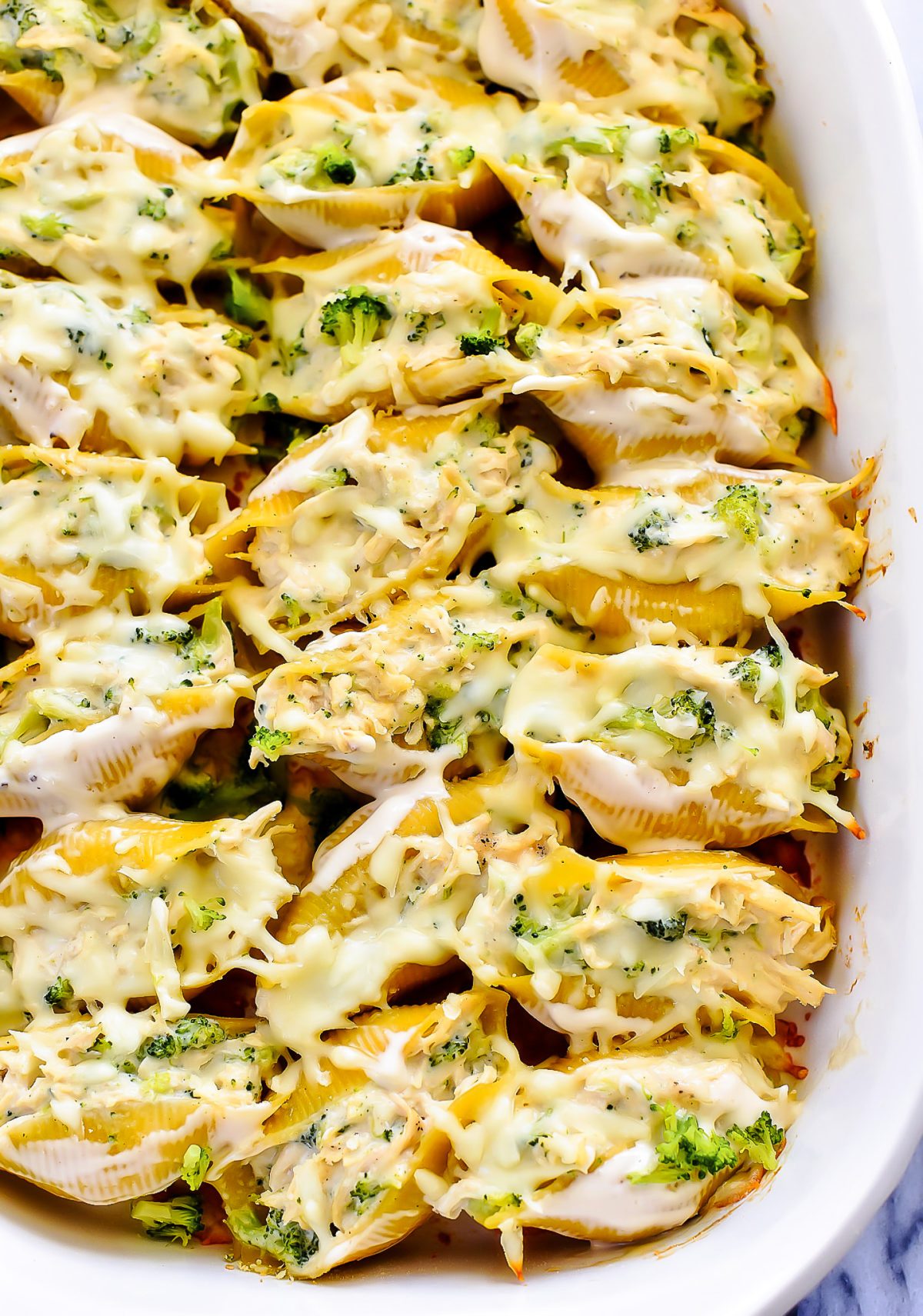 Chicken Broccoli Alfredo Shells