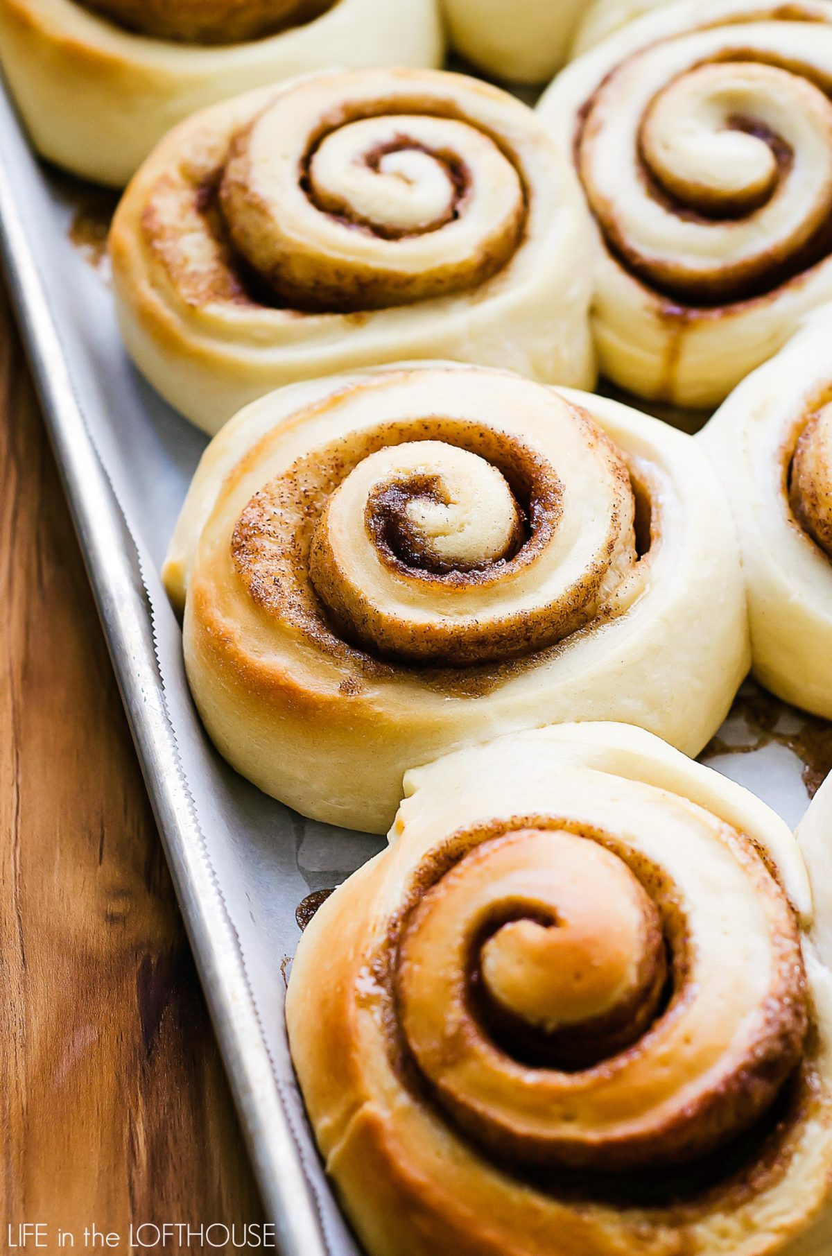 Cinnamon Rolls