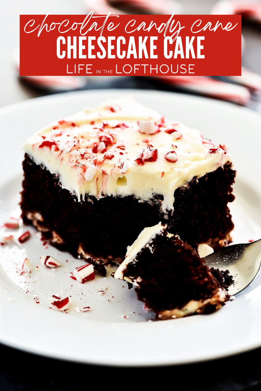 Chocolate Candy Cane Cheesecake Cake on a white plate