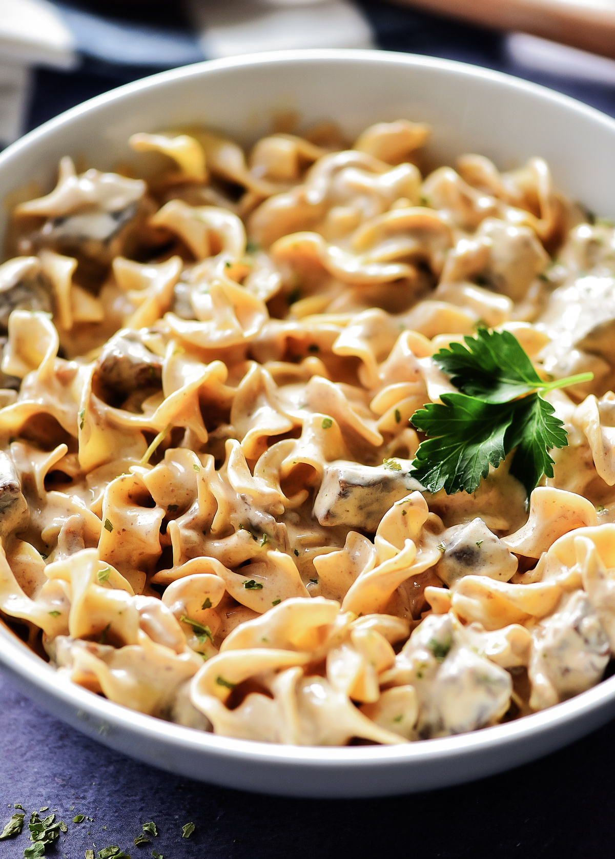 Slow Cooker Beef Stroganoff is a creamy, flavorful dish full of noodles and tender beef. Life-in-the-Lofthouse.com