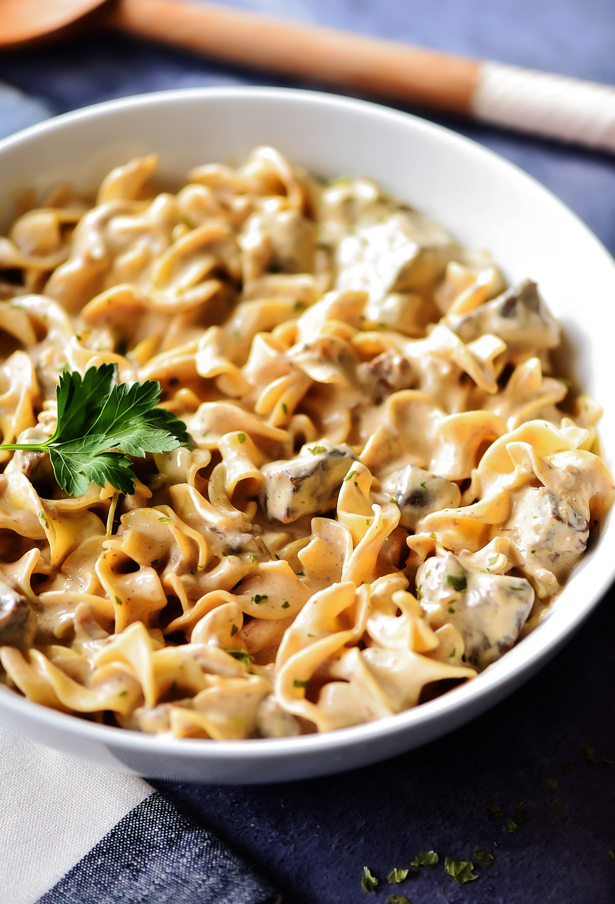Slow Cooker Beef Stroganoff is a creamy, flavorful dish full of noodles and tender beef. Life-in-the-Lofthouse.com