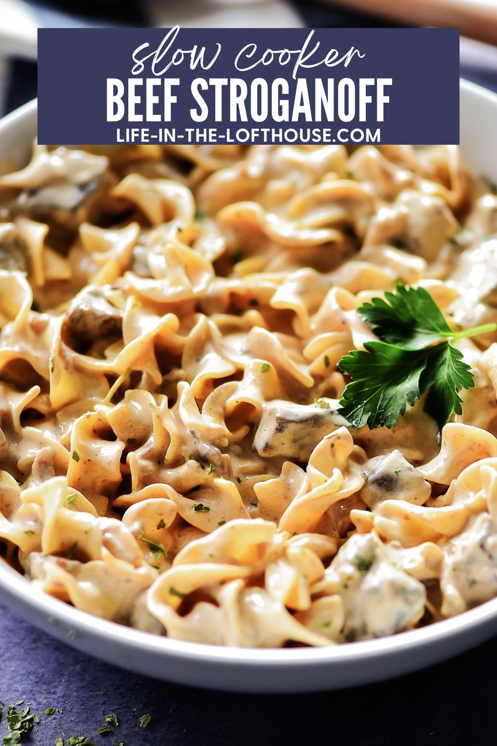 Slow Cooker Beef Stroganoff is a creamy, flavorful dish full of noodles and tender beef. Life-in-the-Lofthouse.com