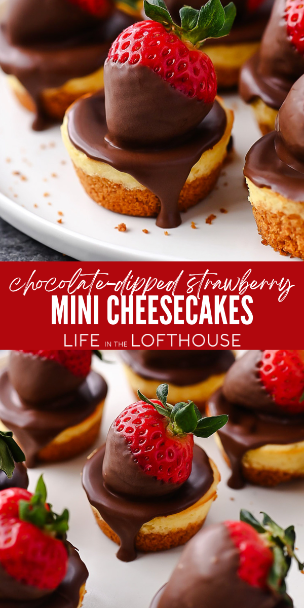 Chocolate Dipped Strawberry Mini Cheesecakes Ingredients