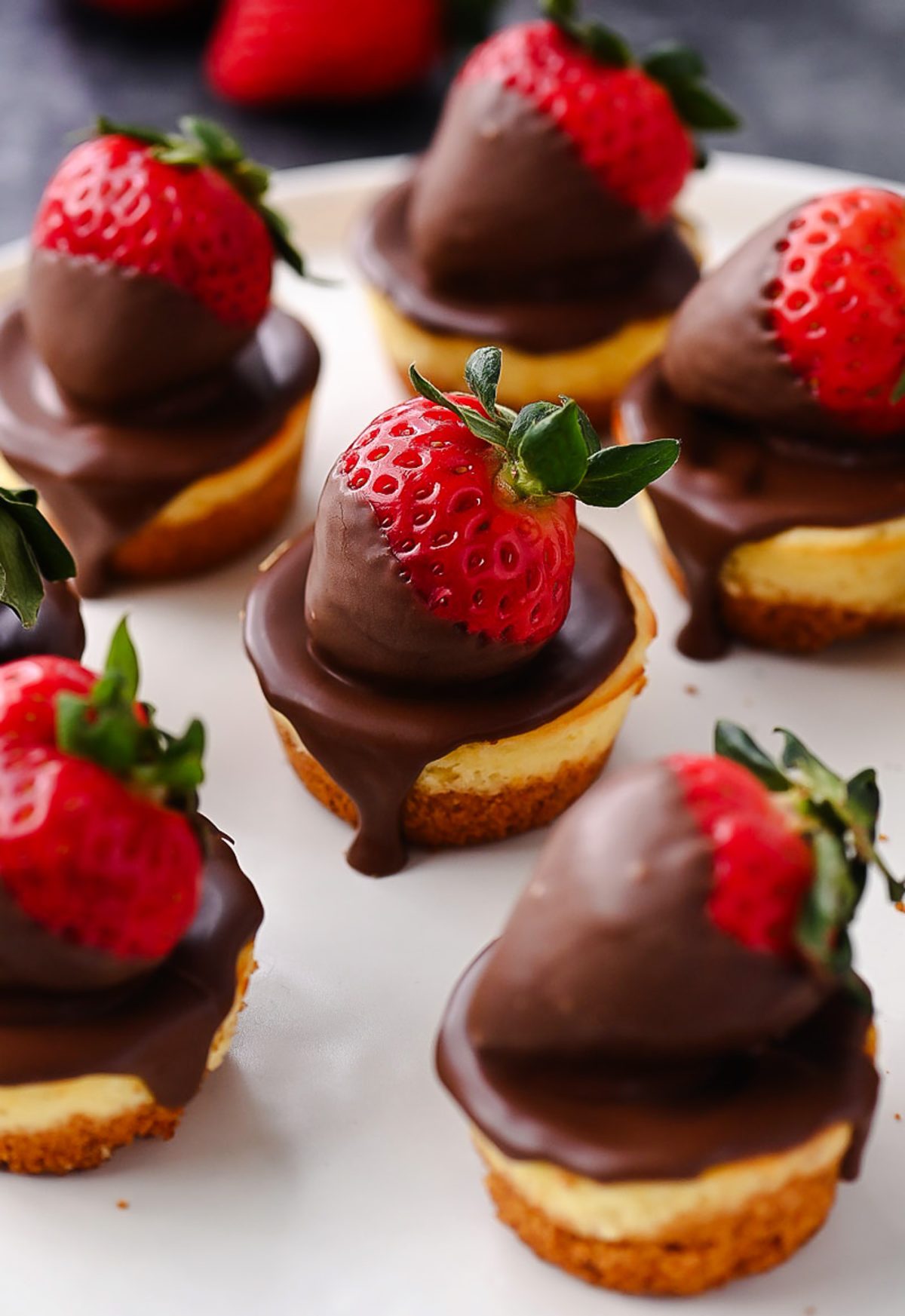 Chocolate-Dipped Strawberry Mini Cheesecakes