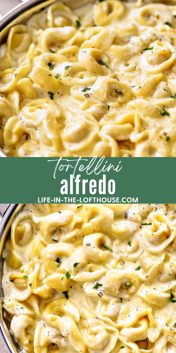 Creamy Alfredo Tortellini