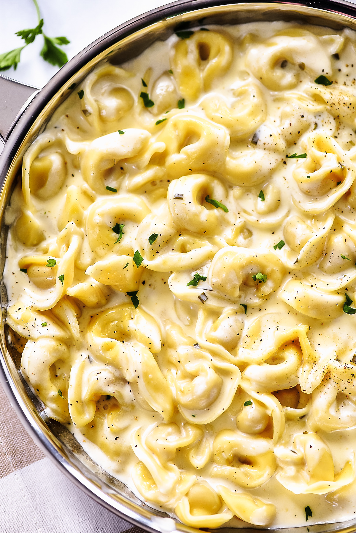 Tortellini with Alfredo Sauce