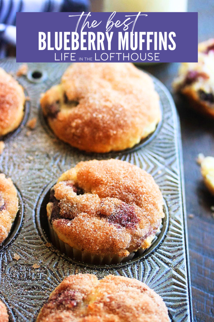 The Best Blueberry Muffins
