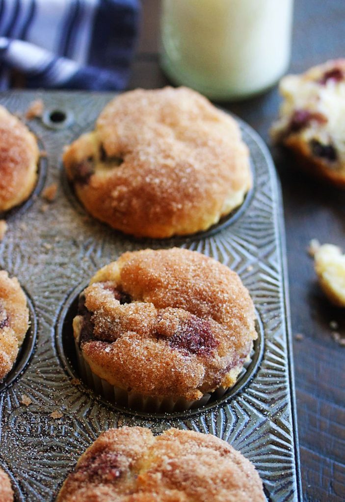 The Best Blueberry Muffins are tender, moist, and loaded with blueberries with a delicious cinnamon and sugar topping. Life-in-the-Lofthouse.com