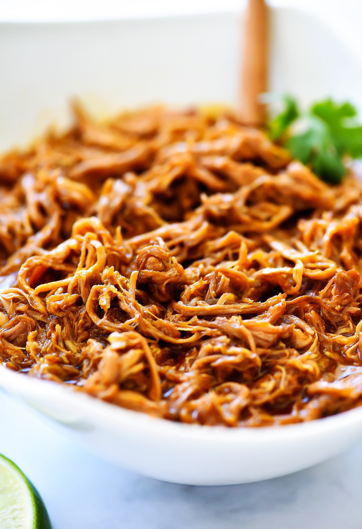 Slow Cooker Sweet Pork is delicious sweet pork given its flavor from brown sugar, red enchilada sauce and diced green chilies. Life-in-the-Lofthouse.com