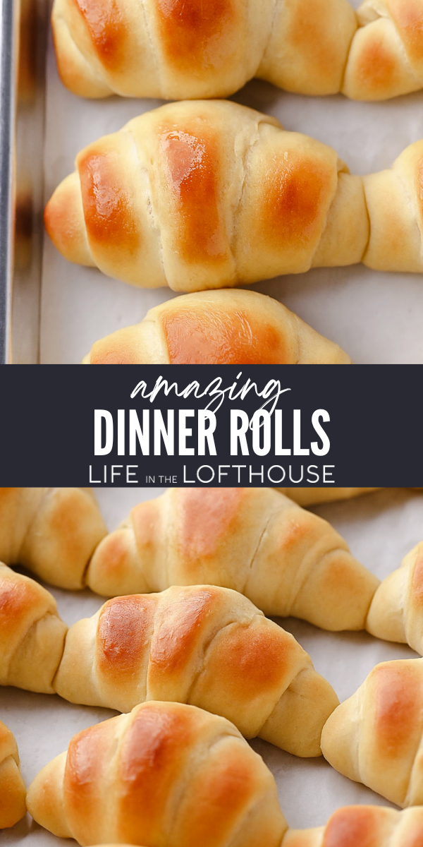 Fluffy and Amazing Dinner Rolls