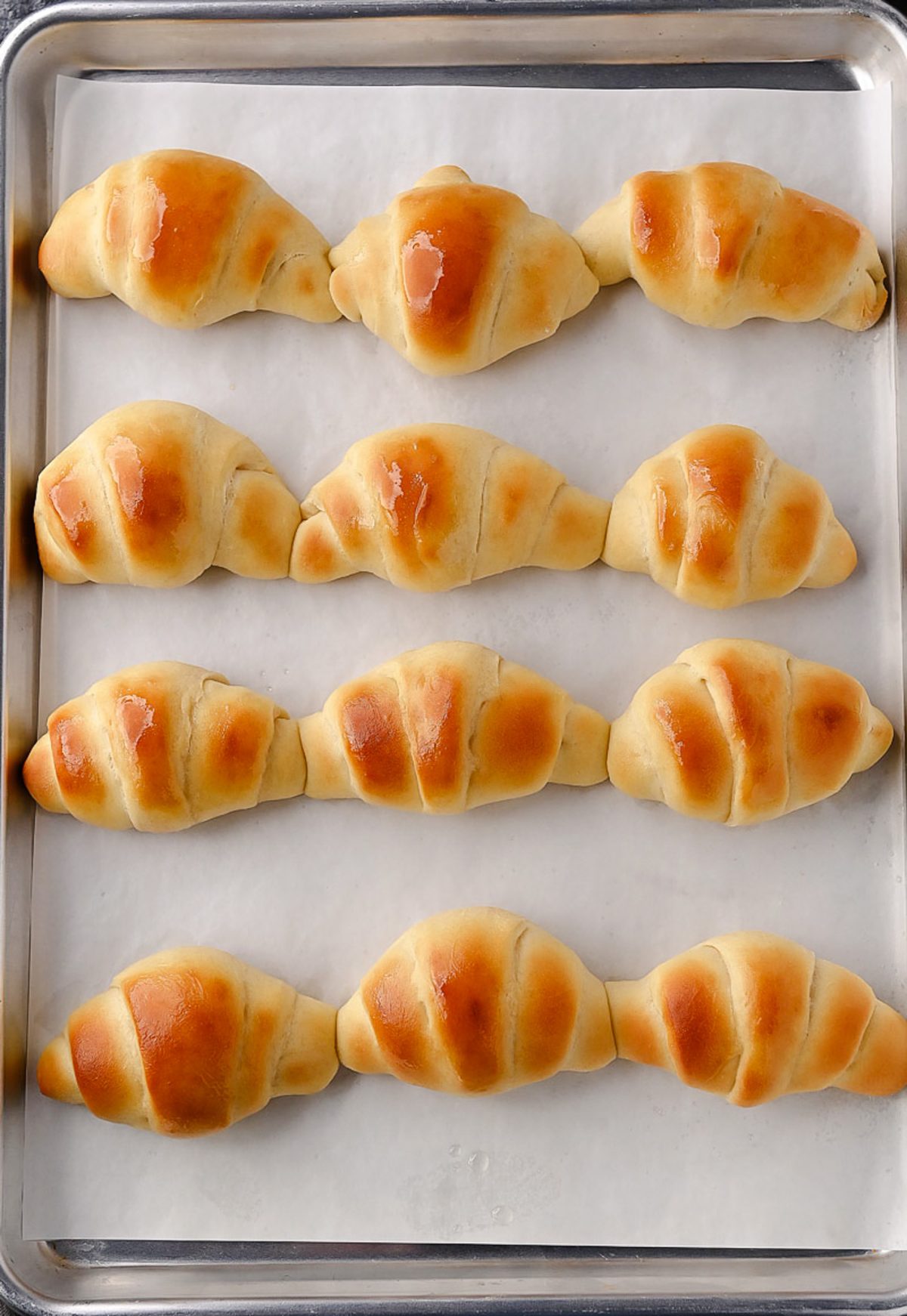 The most amazing dinner rolls