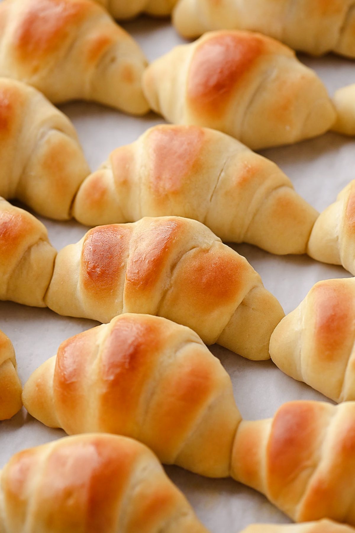 The most amazing dinner rolls