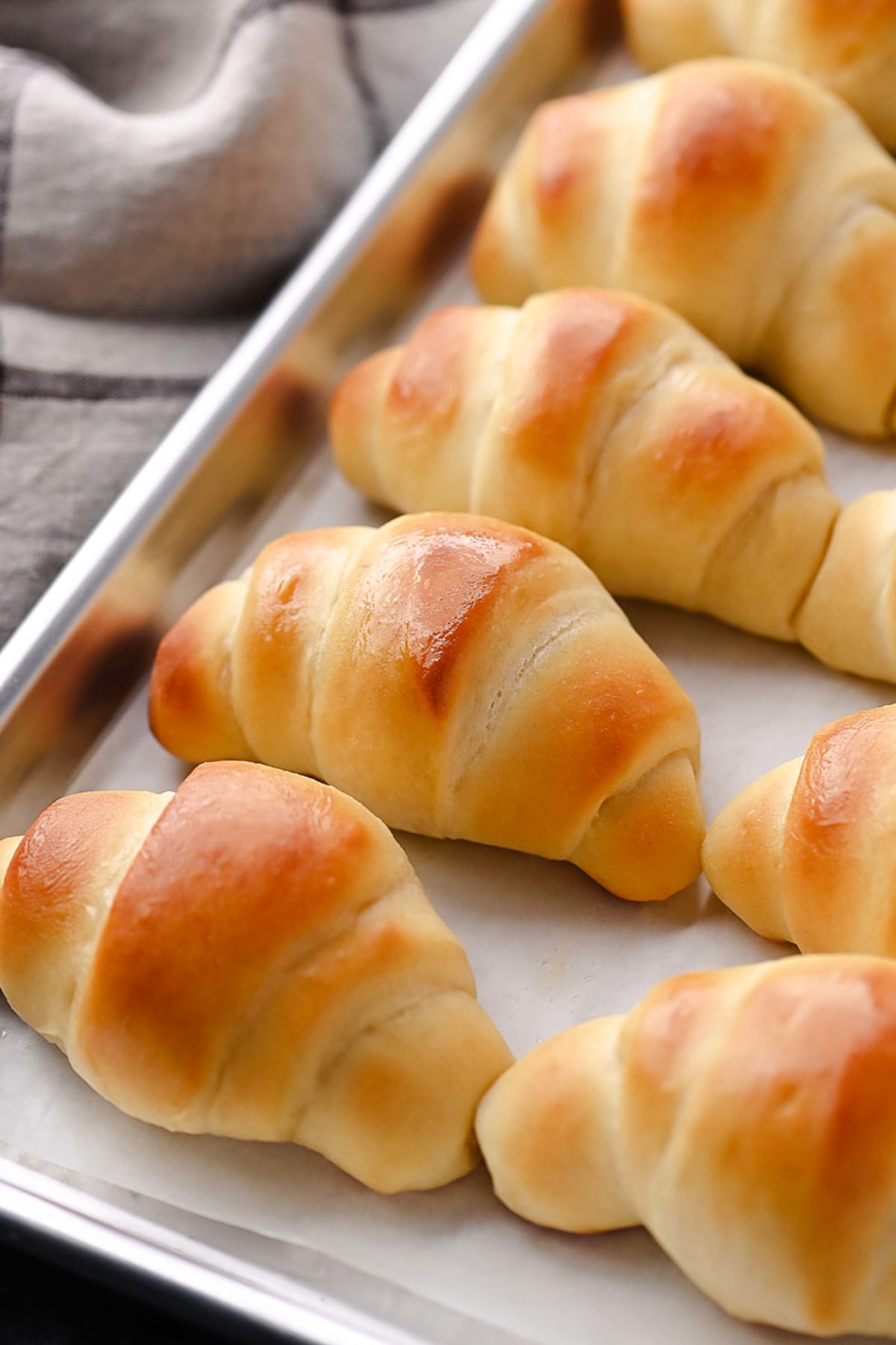 The most amazing dinner rolls