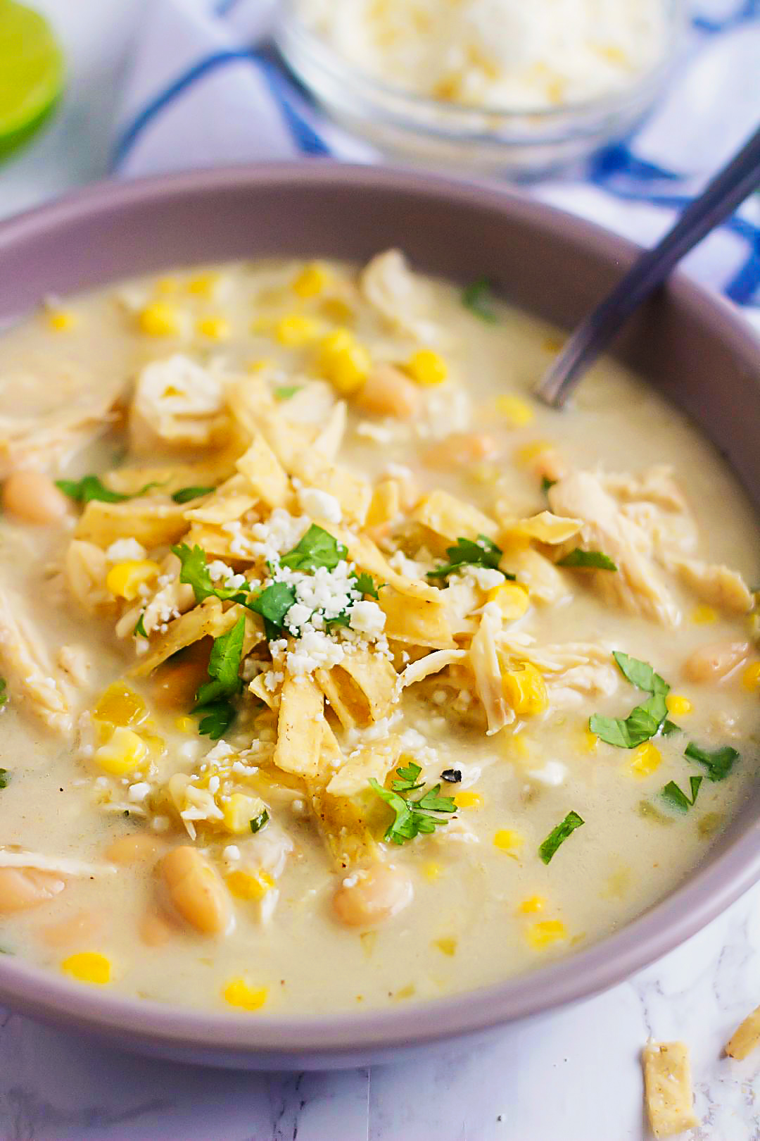 Slow Cooker Salsa Verde Chicken Soup is a delicious soup filled with chicken and salsa verde with hints of coconut and lime. Life-in-the-Lofthouse.com