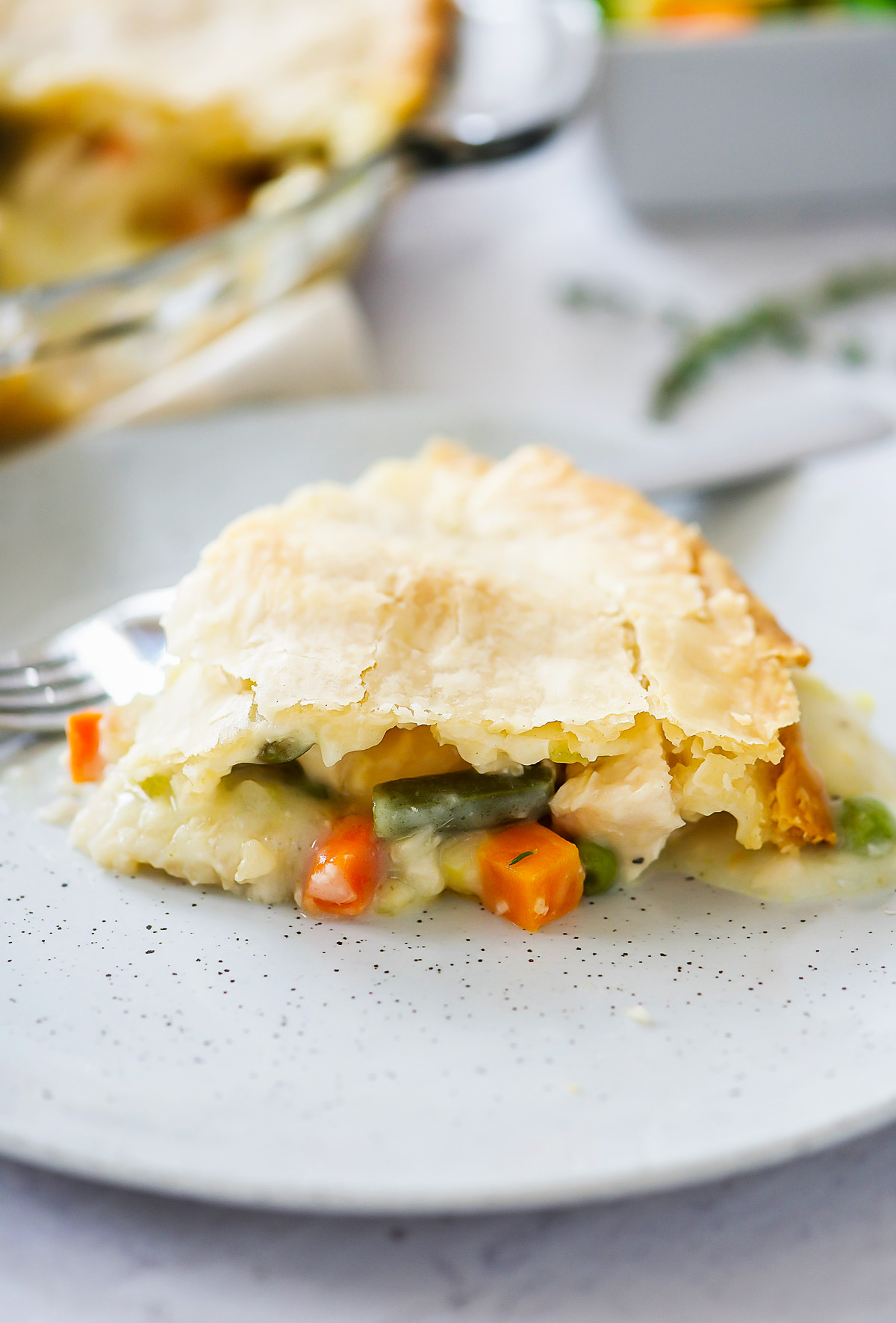 Chicken Pot Pie is a delicious savory pie filled with a chicken and vegetable filling inside a flaky pie crust. Life-in-the-Lofthouse.com