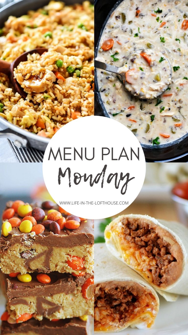 Menu Plan Monday is a weekly menu with delicious dinner recipes. All of the recipes are easy to follow and great for busy weeknights.