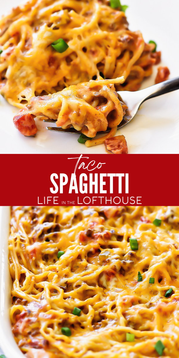 Spaghetti noodles, ground beef, diced tomatoes, green chilies, and taco seasoning come together to make this Taco Spaghetti!