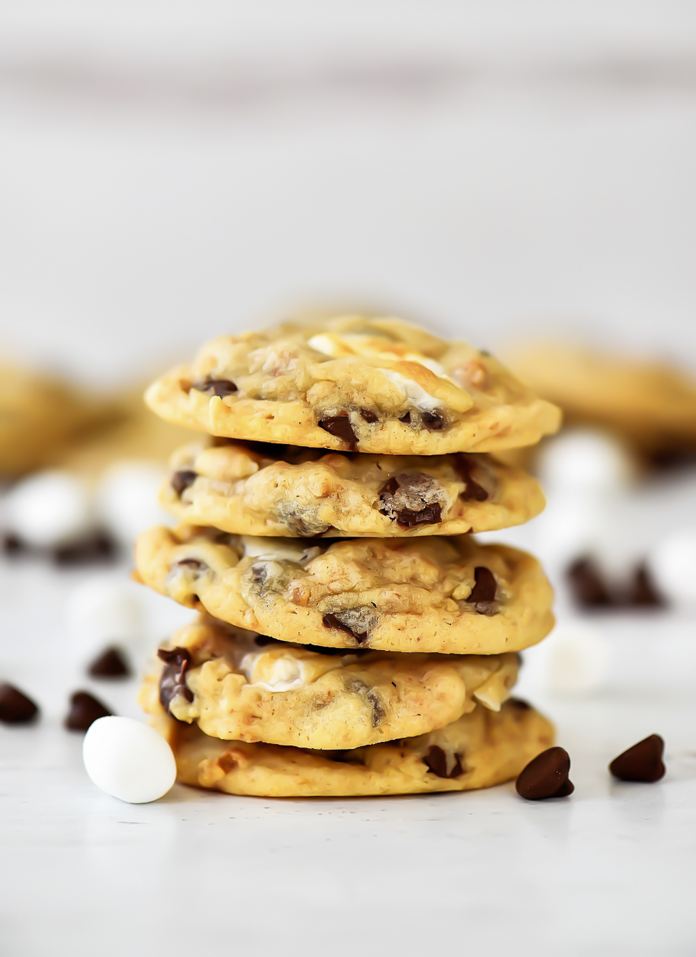 Chocolate Chip Cookies filled with marshmallow and graham cracker crumbs. Life-in-the-Lofthouse.com
