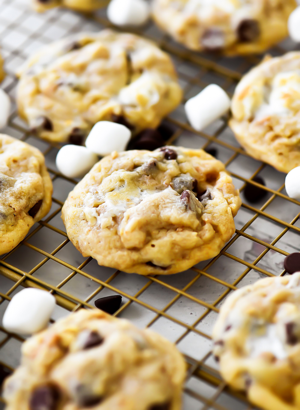 Chocolate Chip Cookies filled with marshmallow and graham cracker crumbs. Life-in-the-Lofthouse.com